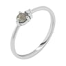 Goldring mit Salt'n'Pepper Diamant und Diamanten Marine