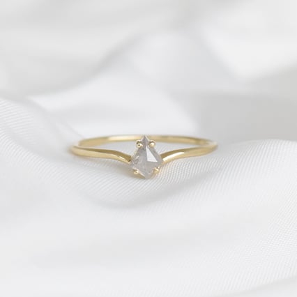 Minimalistischer Ring mit einem Salt and Pepper Diamanten Erebos