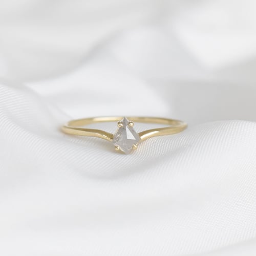 Minimalistischer Ring mit einem Salt and Pepper Diamanten Erebos