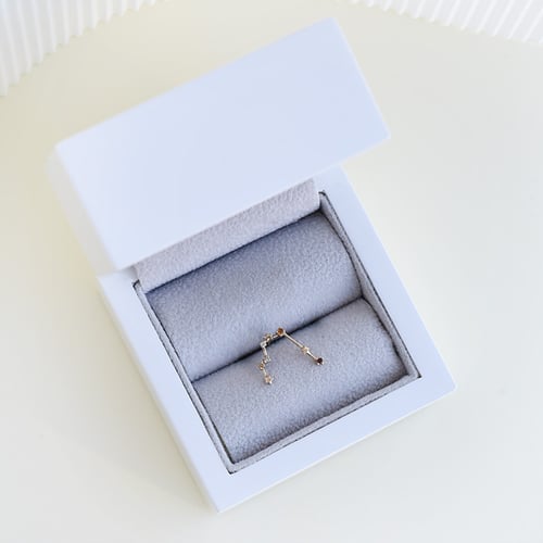 Ohrring mit Sternzeichen Gemini