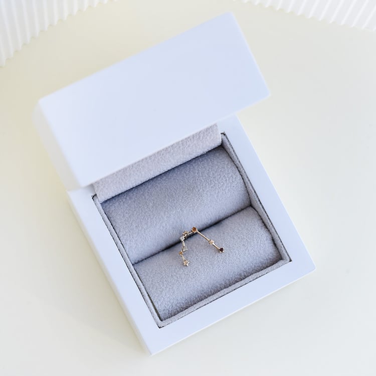 Ohrring mit Sternzeichen Gemini 95197