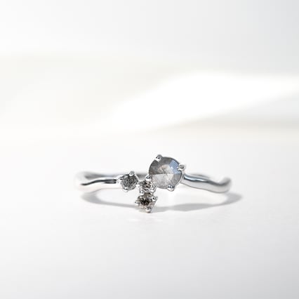 Silberner Cluster-Ring mit Salt and Pepper Diamanten Roche