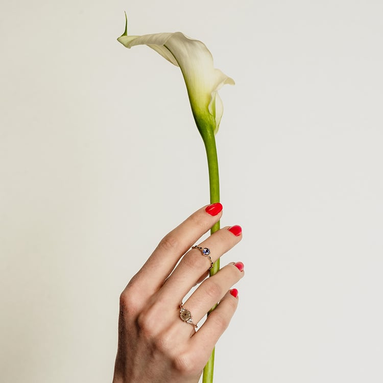 Ring mit einem Salt and Pepper Diamanten Agathe 97074