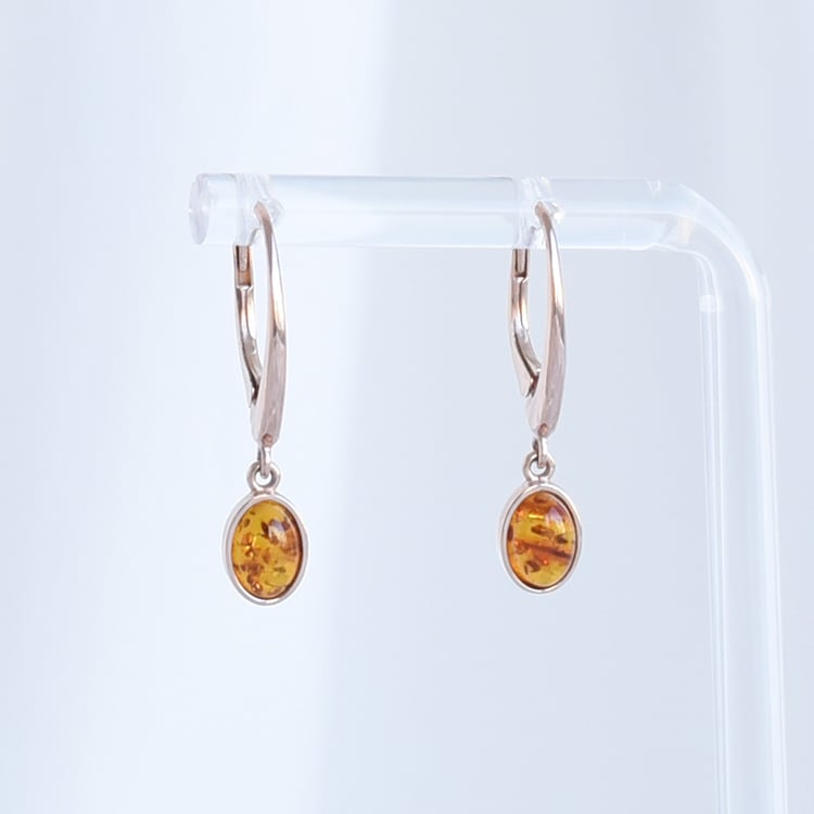 Goldenes Schmuckset mit Bernsteinen Rawec 93575