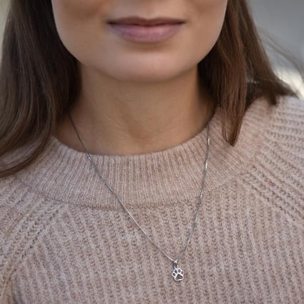 Silberne Anhänger in Pfotenform Louiss