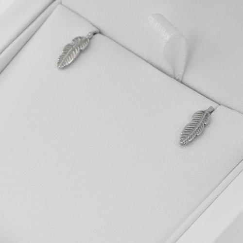 Silberne Ohrringe Feather