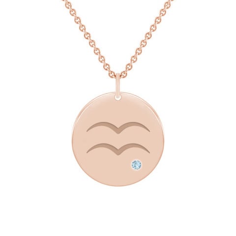 Wassermann Tierkreiszeichen Anhänger in Rosegold 59961