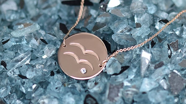 Wassermann (21. 1. – 19. 2.)