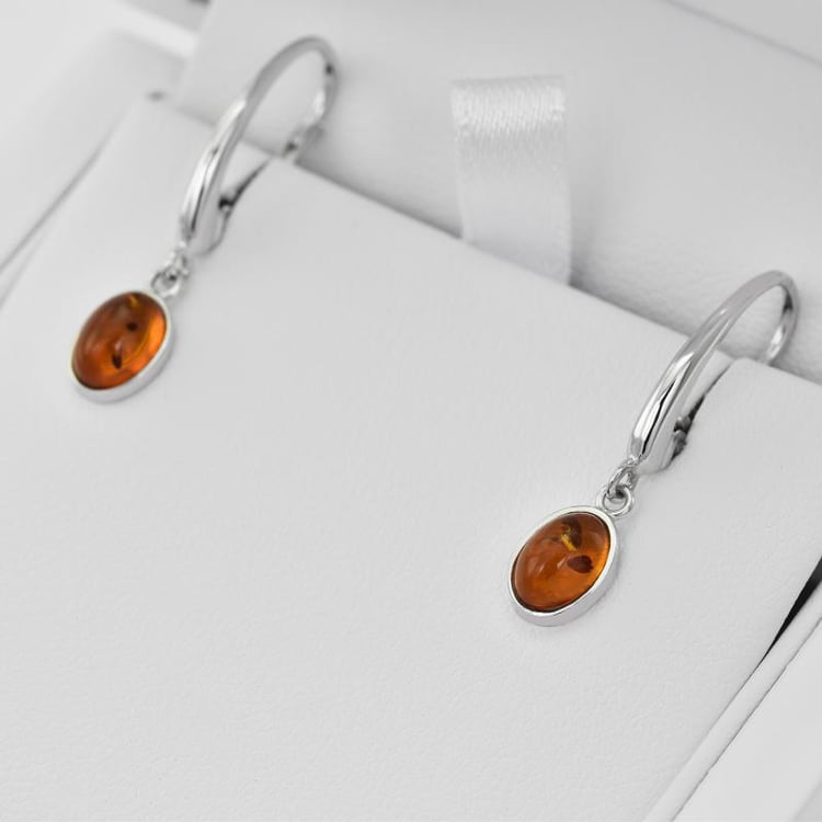 Goldene Ohrringe und Bernstein 24810