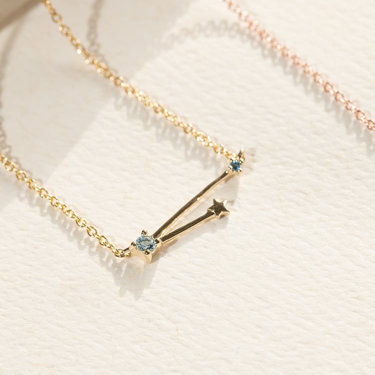 Halskette mit Tierkreiszeichen Aquarius 138500