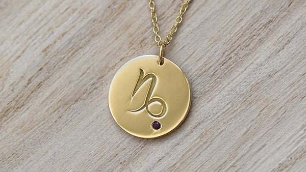 Steinbock (22. 12. – 20. 1.)