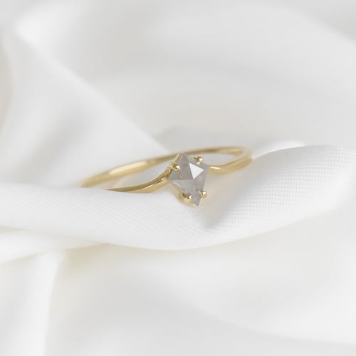 Minimalistischer Ring mit einem Salt and Pepper Diamanten Erebos