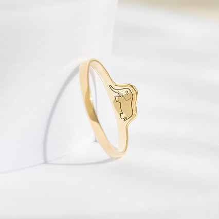 Ring mit einem versteckten Elefanten Der Kleine Prinz
