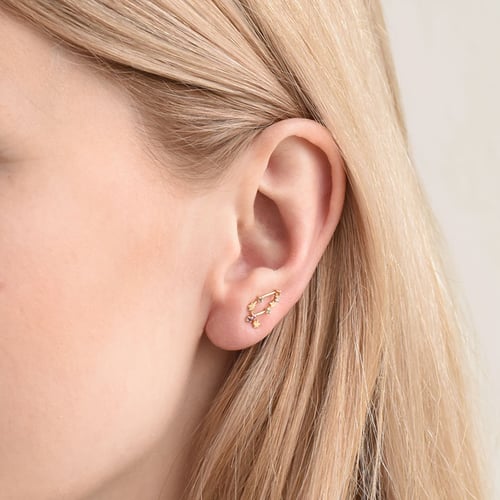 Ohrring mit Sternzeichen Capricorn