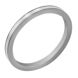 Titanring mit Silberverzierung Zander