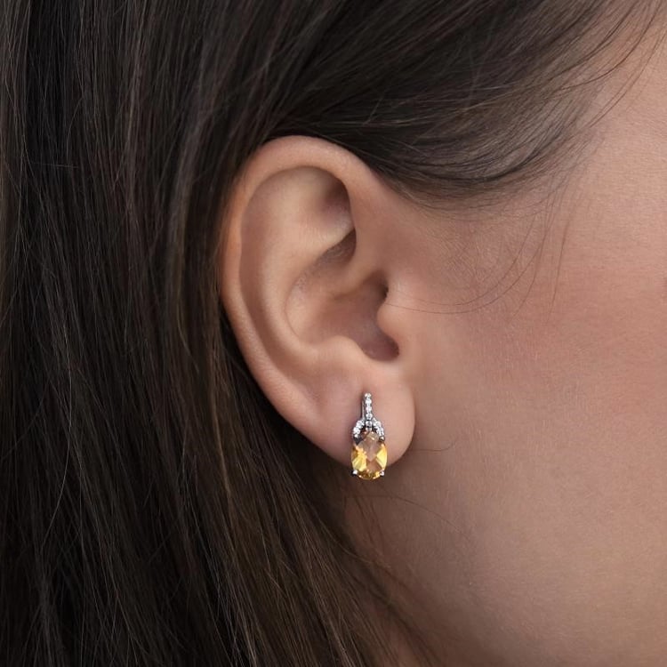 Ohrringe aus Silber 105064