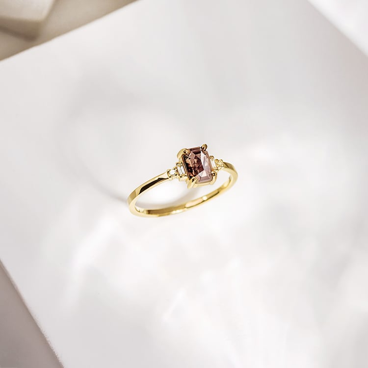 Ring mit Salt and Pepper Diamant und Seitendiamanten Cilla 153076