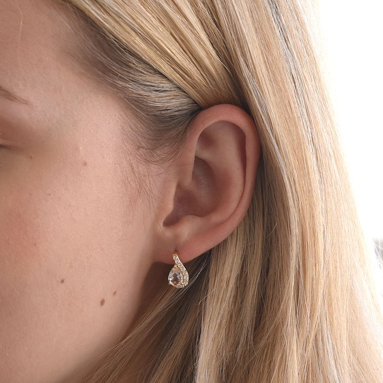 Silberne Ohrringe mit Morganiten und Zirkonia Rina 67955