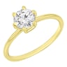 Verlobungsring mit Buchstaben und Diamanten Birdie
