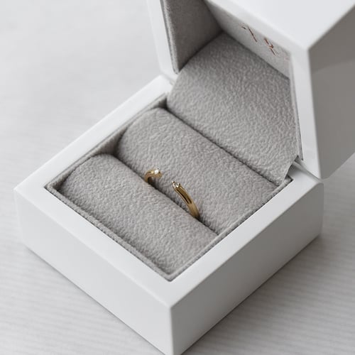 Atypischer Ring aus Gold mit Diamanten Wilbur