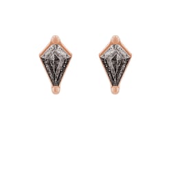 Ohrstecker mit Salt and Pepper Diamanten Ansa