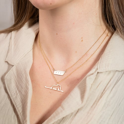 Silberne Kette mit einem Kasten Der Kleine Prinz