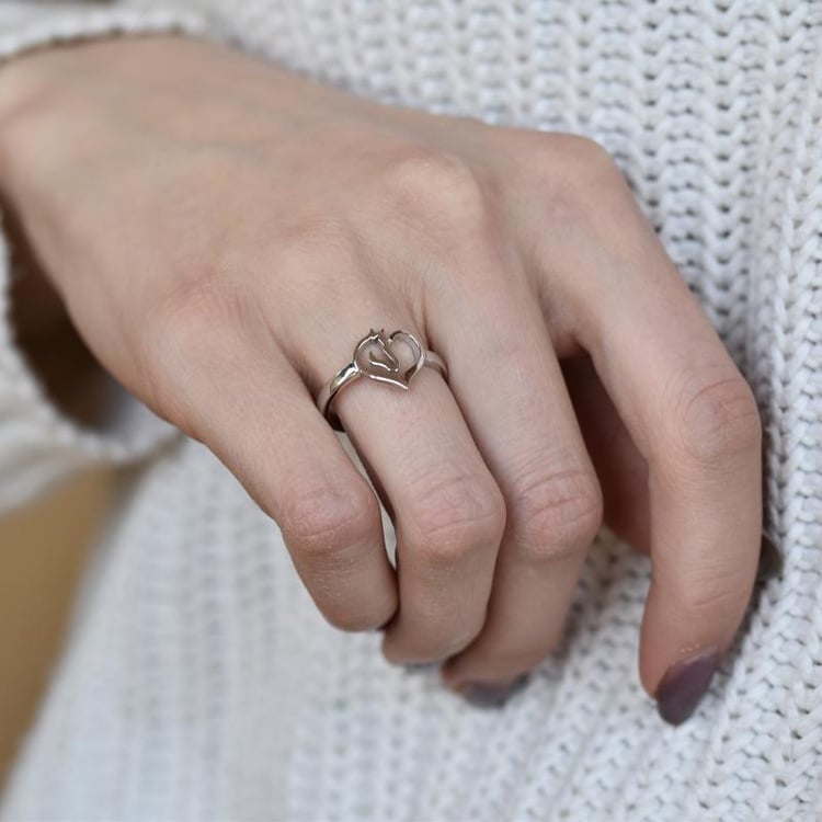 Ring mit Pferd 29662