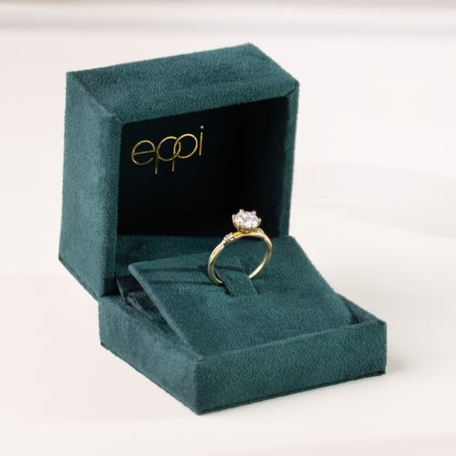 Premium Box aus grünem Wildleder Miryam