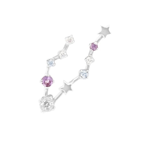 Ohrring mit Sternzeichen Pisces
