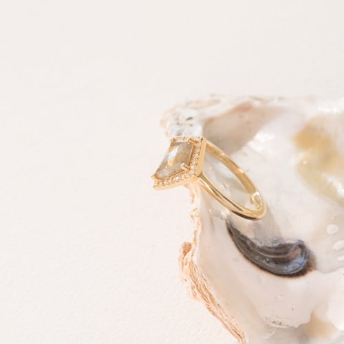 Ring mit Salt and Pepper Diamanten in Kite-Form Bjorn