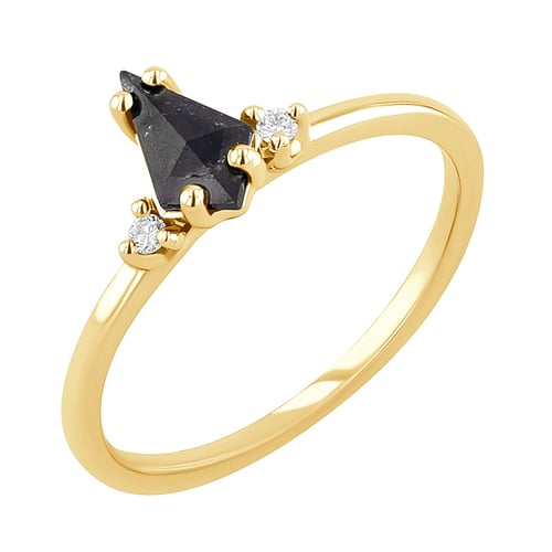 Goldring mit Salt and Pepper Diamant in Kiteform Adalia