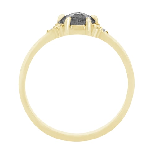 Salt and Pepper Diamant im goldenen Ring Stefan