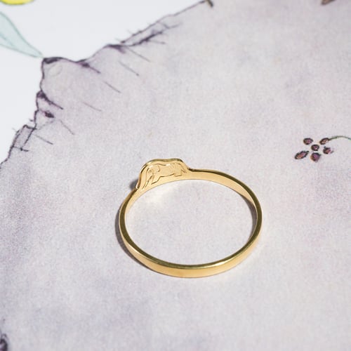 Ring mit einem versteckten Elefanten Der Kleine Prinz