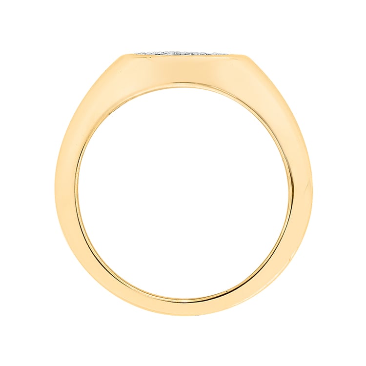 Goldring 63870