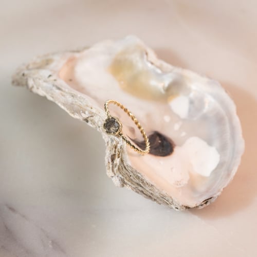 Geflochtener Ring mit einem Salt and Pepper Diamanten Chanice