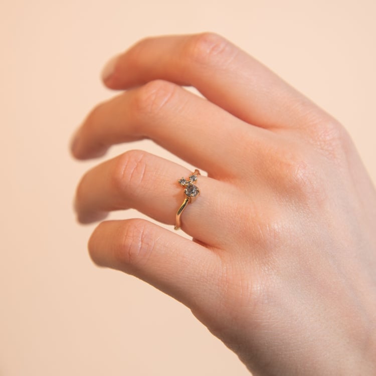 Silberner Cluster-Ring mit Salt and Pepper Diamanten Roche 116114