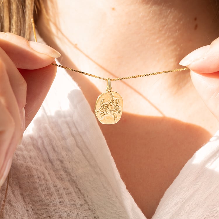 Silberanhänger mit Symbolen des Tierkreiszeichens 145583