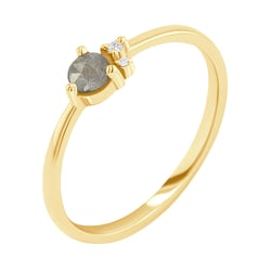 Goldring mit Salt'n'Pepper Diamant und Diamanten Marine