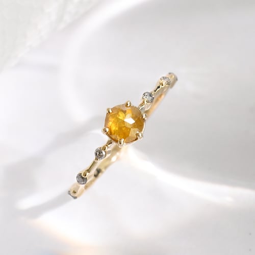 Ring mit Salt and Pepper Diamanten Imelda