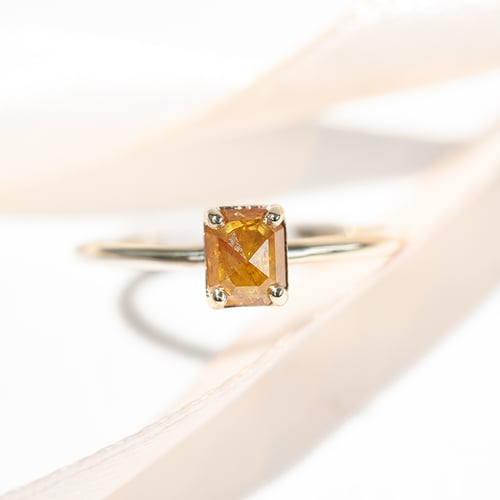 Goldring mit Salt and Pepper Diamant in Emeraldform Lucilia