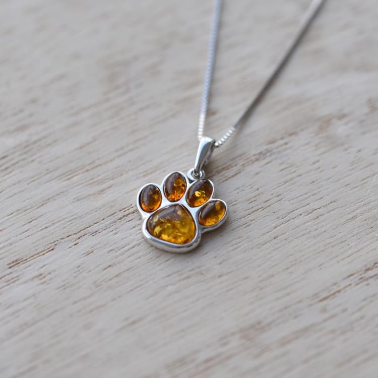 Pfote aus Bernstein 52070