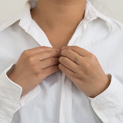 Goldener Ring mit Salt and Pepper Diamanten Reeva