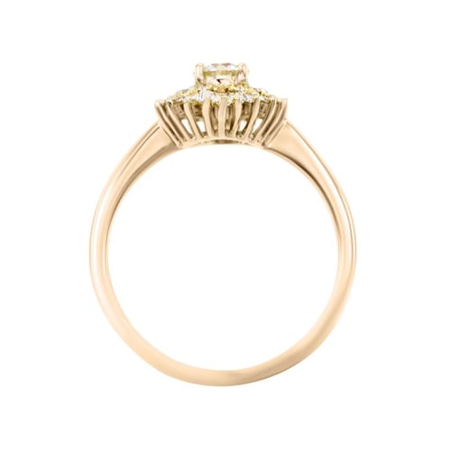 Einzigartiger Verlobungsring aus Gold mit Moissanit und lab-grown Diamanten Deizy