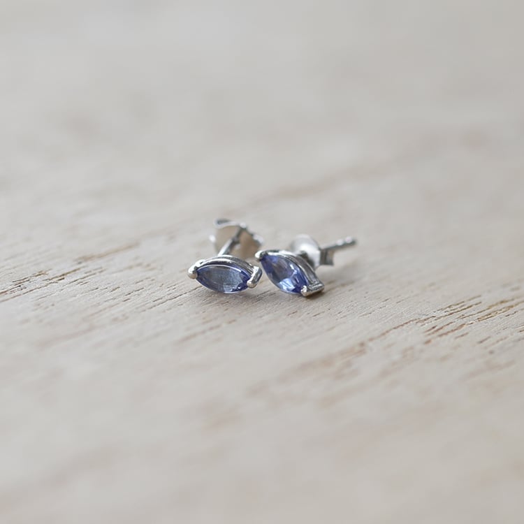 Silberne Ohrringe 60286