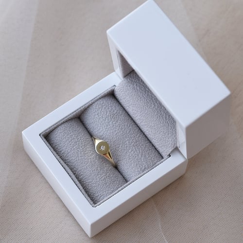 Goldener Siegelring mit Diamantstern Keylo