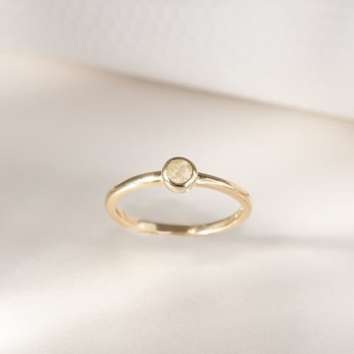 Minimalistischer Ring mit einem Salt and Pepper Diamanten Emilien