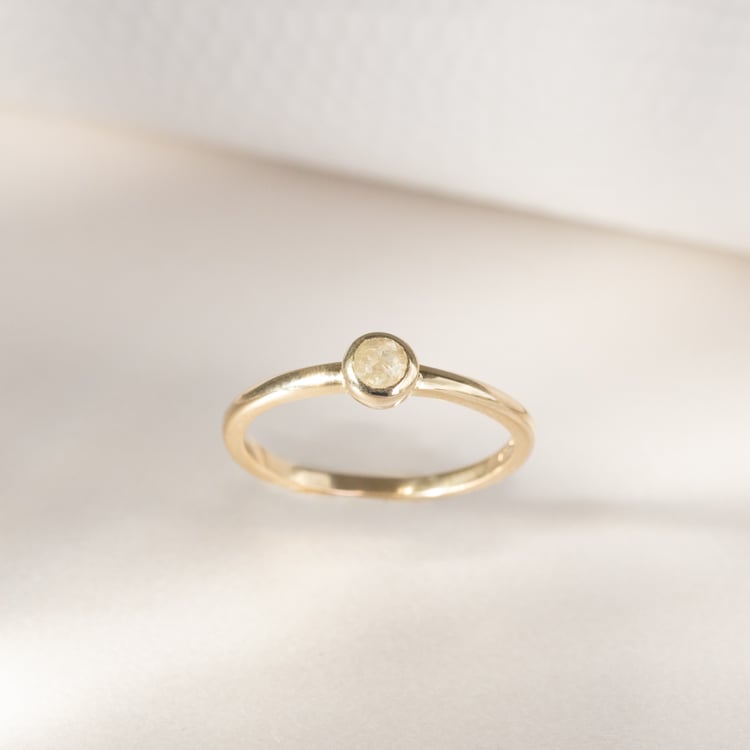 Minimalistischer Ring mit einem Salt and Pepper Diamanten Emilien 120000