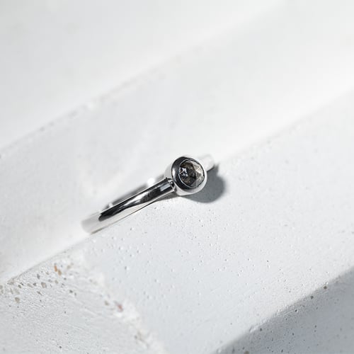 Goldring mit Salt and Pepper Diamant Emilien