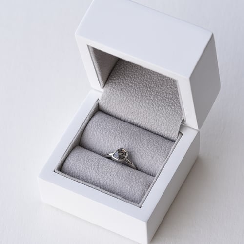 Ring mit Salt and Pepper Diamant Luna