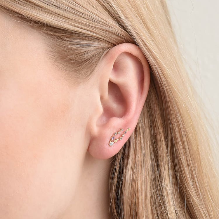 Ohrring mit Sternzeichen Pisces 113214